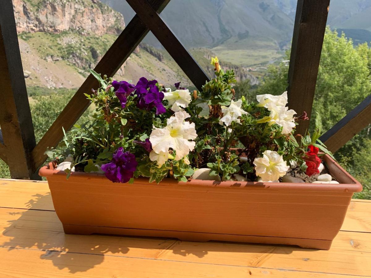 Villa View Kazbegi Exterior foto